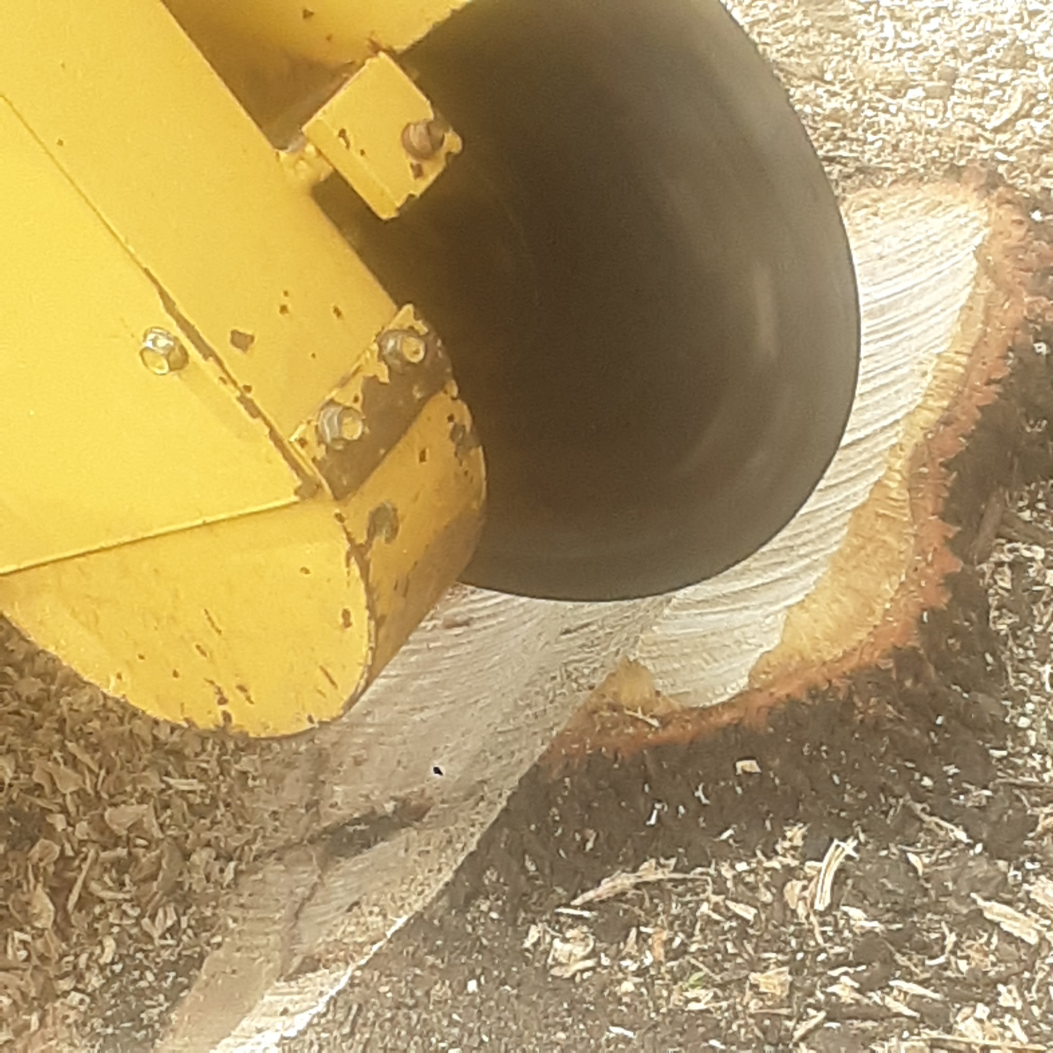 Ground stump area with equipment in the background