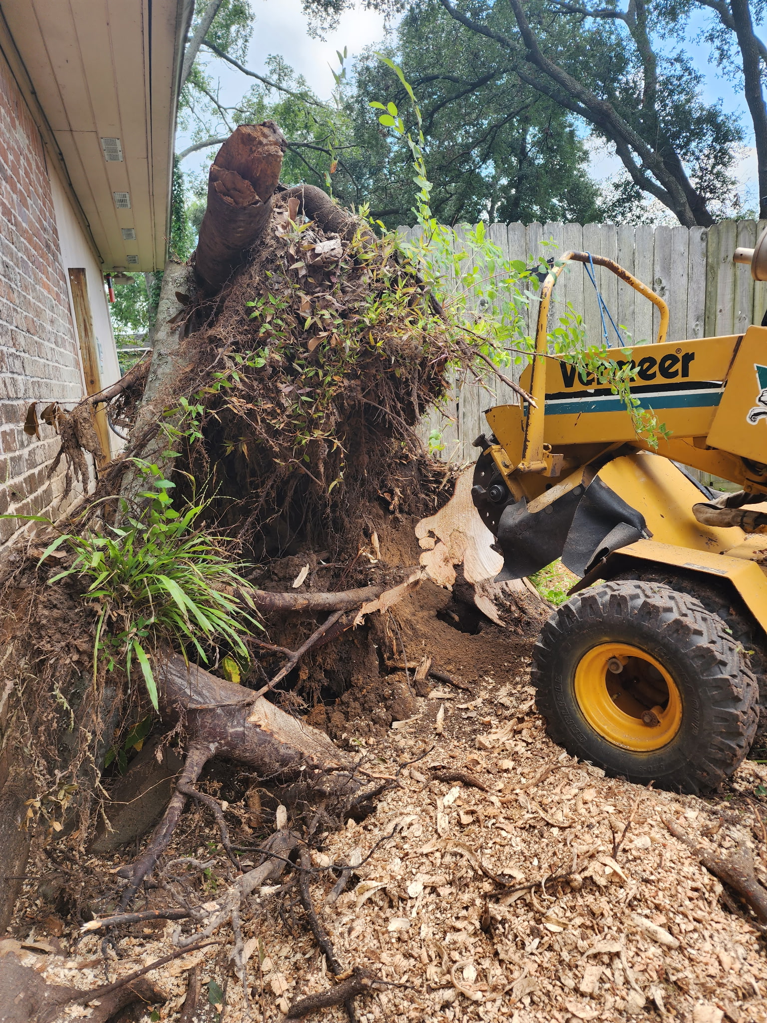 Stump grinder clearing a yard with fresh mulch