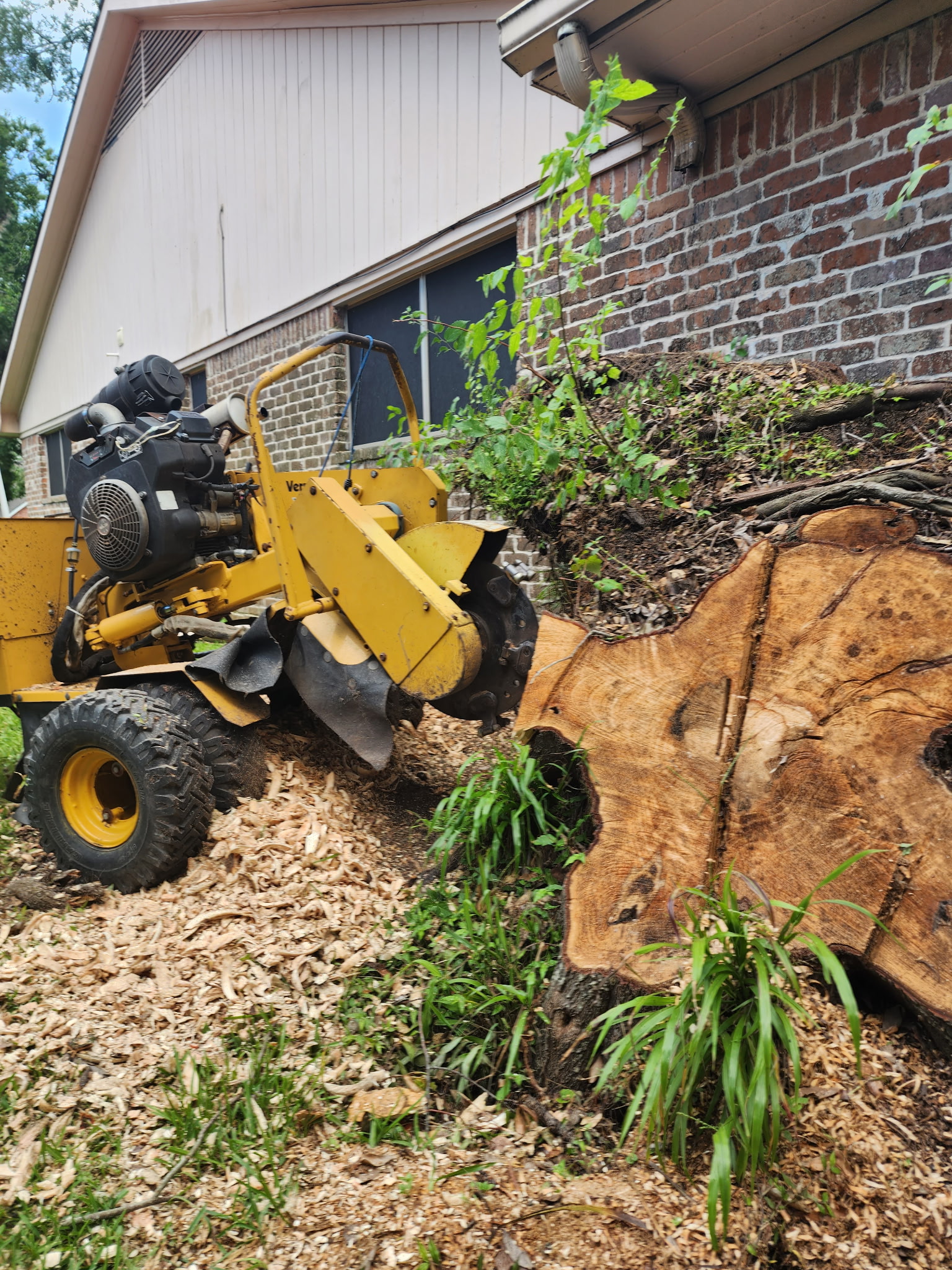 Close-up of stump grinding in progress
